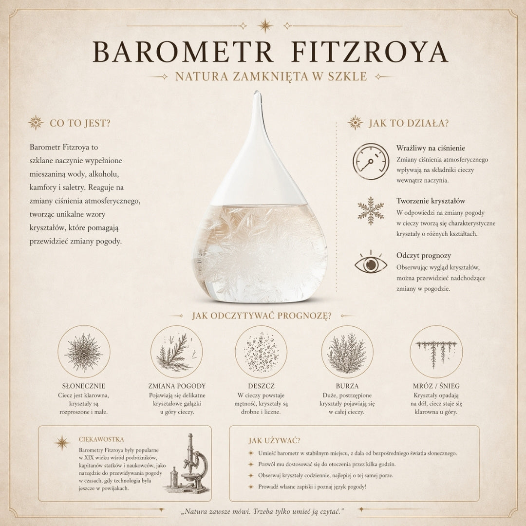 Fitzroy-Sturmbarometer Globus - Schreibtischdekoration Gadget - BAW11003