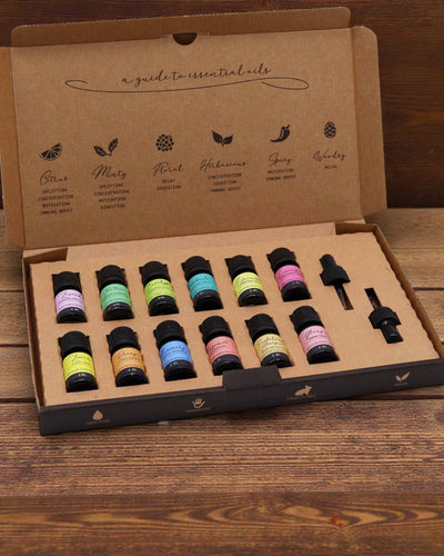 Essenz der Welt – Luxuriöses Set der 12 beliebtesten ätherischen Öle 5 ml mit Pipetten