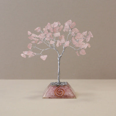 Rosa Prinzessin