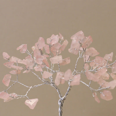 Rosa Prinzessin